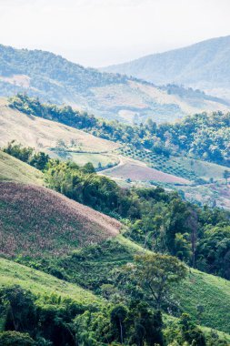Tayland 'ın Chiangrai eyaletinde dağ manzarası.