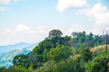 Tayland 'ın Chiangrai eyaletinde dağ manzarası.