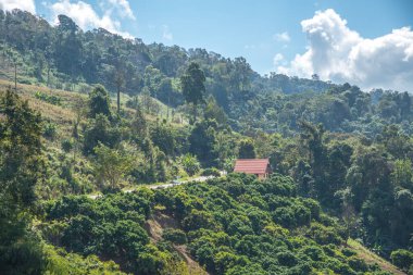 Tayland 'ın Chiangrai eyaletinde dağ manzarası.