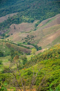 Tayland 'ın Chiangrai eyaletinde dağ manzarası.