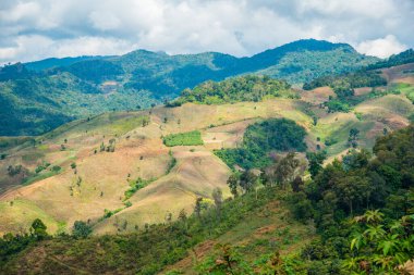 Tayland 'ın Chiangrai eyaletinde dağ manzarası.