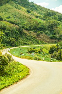 Phu Chi Pa yolu, Tayland.