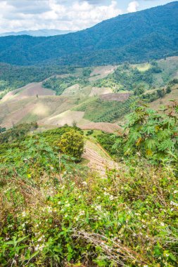 Tayland 'ın Chiangrai eyaletinde dağ manzarası.
