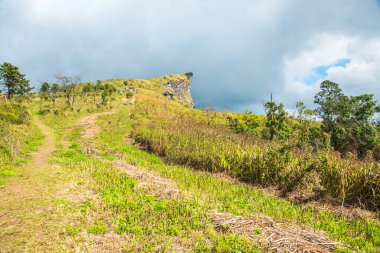 Chiangrai, Tayland 'daki Phu Chi Fa Dağı manzarası.