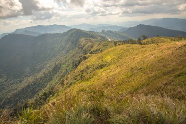 Chiangrai, Tayland 'daki Phu Chi Fa Dağı manzarası.