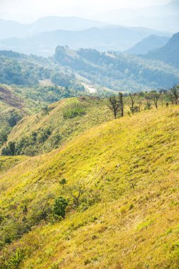 Chiangrai, Tayland 'daki Phu Chi Fa Dağı manzarası.