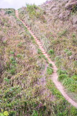 Phu Chi Fa, Tayland 'da dağda yürüyüş yolu.