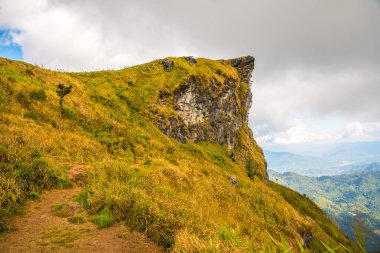 Chiangrai, Tayland 'daki Phu Chi Fa Dağı manzarası.