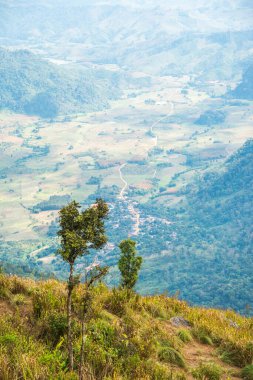 Chiangrai, Tayland 'da Phu Chi Fa' nın en iyi manzarası.