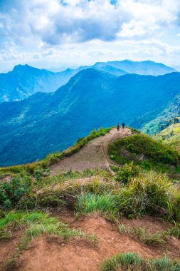 Chiangrai, Tayland 'daki Phu Chi Fa Dağı manzarası.