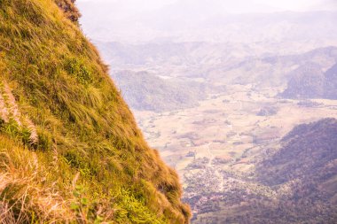 Chiangrai, Tayland 'daki Phu Chi Fa Dağı manzarası.