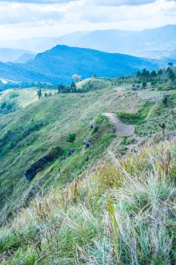 Chiangrai, Tayland 'daki Phu Chi Fa Dağı manzarası.