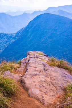 Chiangrai, Tayland 'daki Phu Chi Fa Dağı manzarası.