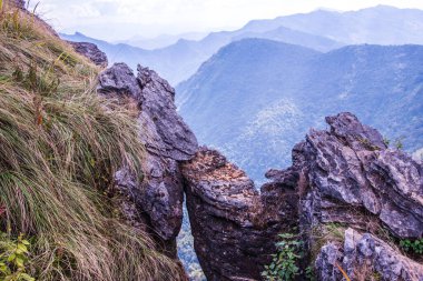 Chiangrai, Tayland 'daki Phu Chi Fa Dağı manzarası.