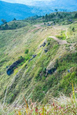Chiangrai, Tayland 'daki Phu Chi Fa Dağı manzarası.