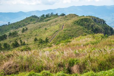 Chiangrai, Tayland 'daki Phu Chi Fa Dağı manzarası.