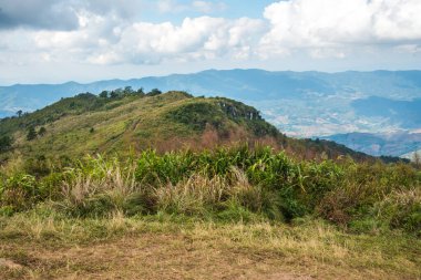 Chiangrai, Tayland 'daki Phu Chi Fa Dağı manzarası.