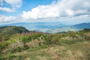 Chiangrai, Tayland 'daki Phu Chi Fa Dağı manzarası.