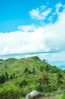 Chiangrai, Tayland 'daki Phu Chi Fa Dağı manzarası.