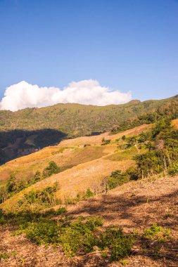 Tayland 'ın Chiangrai eyaletinde dağ manzarası.