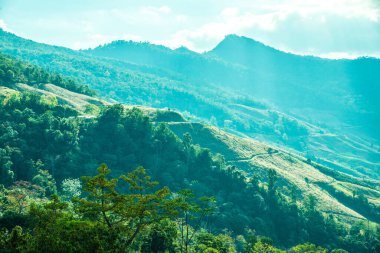 Tayland 'ın Chiangrai eyaletinde dağ manzarası.