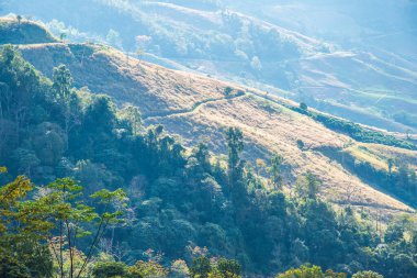 Tayland 'ın Chiangrai eyaletinde dağ manzarası.