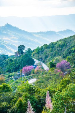 Tayland 'ın Chiangrai eyaletinde dağ manzarası.