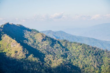 Tayland 'ın Chiangrai ilindeki Doi Pha Tang Dağı manzarası.