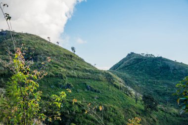 Tayland 'ın Chiangrai ilindeki Doi Pha Tang Dağı manzarası.