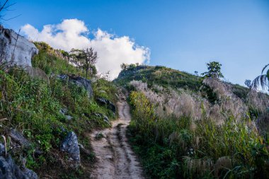 Tayland 'ın Chiangrai ilindeki Doi Pha Tang Dağı manzarası.