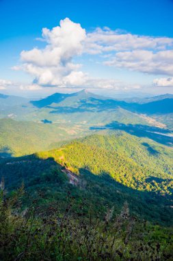 Tayland 'ın Chiangrai ilindeki Doi Pha Tang Dağı manzarası.