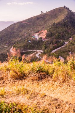 Tayland 'ın Chiangrai ilindeki Doi Pha Tang Dağı manzarası.