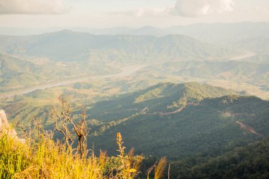 Tayland 'ın Chiangrai ilindeki Doi Pha Tang Dağı manzarası.