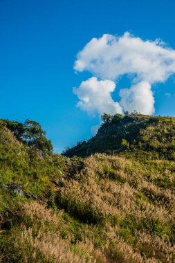 Tayland 'ın Chiangrai ilindeki Doi Pha Tang Dağı manzarası.