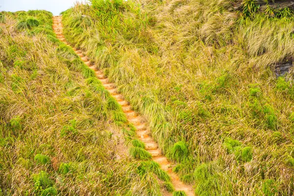 Phu Chi Fa, Tayland 'da dağda yürüyüş yolu.