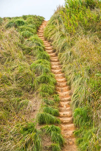 Phu Chi Fa, Tayland 'da dağda yürüyüş yolu.