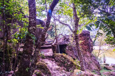 Tayland, Tayland 'da ormanlı küçük bir patika..