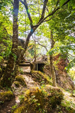 Tayland, Tayland 'da ormanlı küçük bir patika..