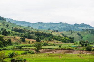 Chiang Rai Eyaleti, Tayland Doğal Manzarası.