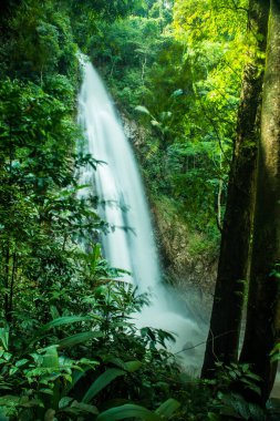 Khunkorn Şelalesi, Tayland, Chiang Rai bölgesinde..