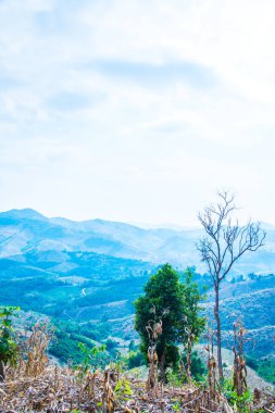 Tayland 'ın Phayao eyaletindeki dağ manzarası.