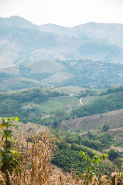 Tayland 'ın Phayao eyaletindeki dağ manzarası.