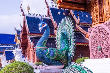 Tayland 'daki Ban Den tapınağında Tavuskuşu heykeli.