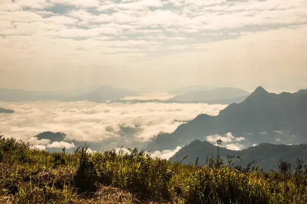 Chiangrai Eyaleti, Tayland 'daki Phu Chi Fa Manzara Noktasında Sis Denizi.