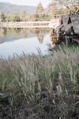 Tayland 'ın Chiangmai ilindeki Huay Tueng Tao gölünün manzara manzarası.