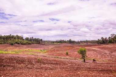 Tayland 'ın Chiangmai eyaletinde doğal manzara.