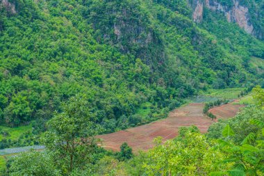 Tayland 'ın Chiangmai bölgesindeki dağ manzarası..