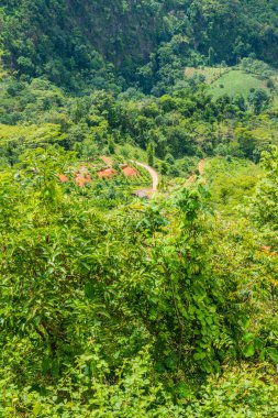 Tayland 'ın Chiangmai bölgesindeki dağ manzarası..