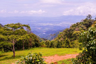 Tayland 'ın Chiangmai bölgesindeki dağ manzarası..