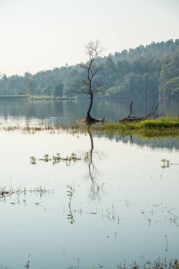 Tayland 'ın Chiangmai ilindeki Huay Tueng Tao gölünün manzara manzarası.